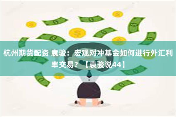 杭州期货配资 袁骏：宏观对冲基金如何进行外汇利率交易？【袁骏说44】