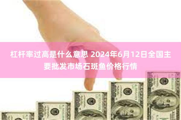 杠杆率过高是什么意思 2024年6月12日全国主要批发市场石斑鱼价格行情