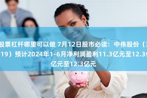 股票杠杆哪里可以做 7月12日股市必读：中伟股份（300919）预计2024年1-6月净利润盈利11.3亿元至12.3亿元