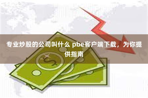 专业炒股的公司叫什么 pbe客户端下载，为你提供指南