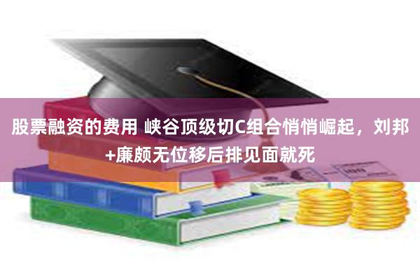 股票融资的费用 峡谷顶级切C组合悄悄崛起，刘邦+廉颇无位移后排见面就死