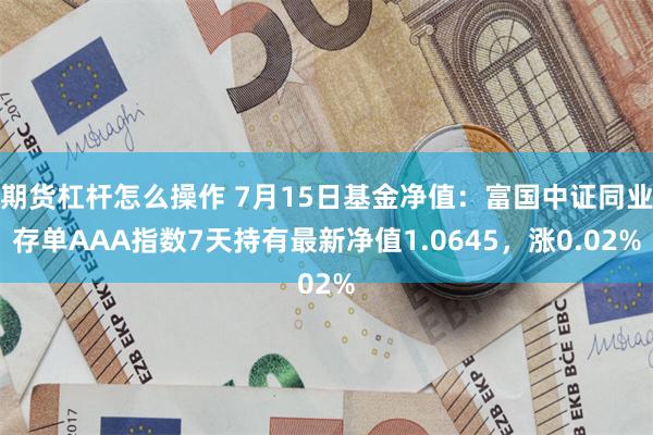 期货杠杆怎么操作 7月15日基金净值：富国中证同业存单AAA指数7天持有最新净值1.0645，涨0.02%