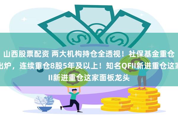 山西股票配资 两大机构持仓全透视！社保基金重仓持股名单出炉，连续重仓8股5年及以上！知名QFII新进重仓这家面板龙头