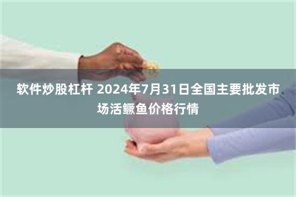 软件炒股杠杆 2024年7月31日全国主要批发市场活鳜鱼价格行情