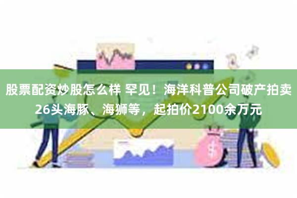 股票配资炒股怎么样 罕见！海洋科普公司破产拍卖26头海豚、海狮等，起拍价2100余万元