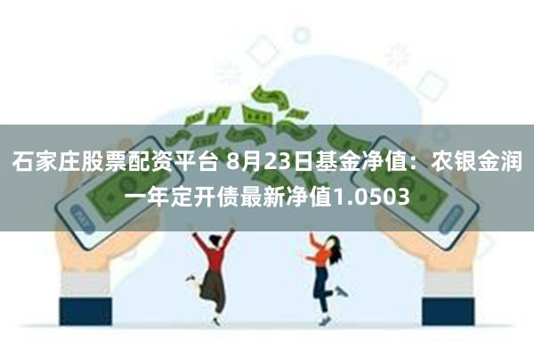 石家庄股票配资平台 8月23日基金净值：农银金润一年定开债最新净值1.0503