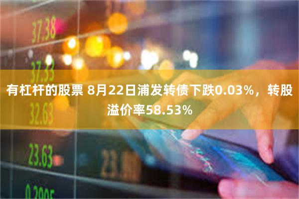 有杠杆的股票 8月22日浦发转债下跌0.03%，转股溢价率58.53%