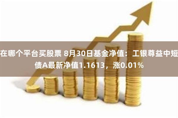 在哪个平台买股票 8月30日基金净值：工银尊益中短债A最新净值1.1613，涨0.01%