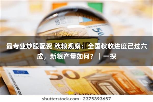 最专业炒股配资 秋粮观察：全国秋收进度已过六成，新粮产量如何？｜一探