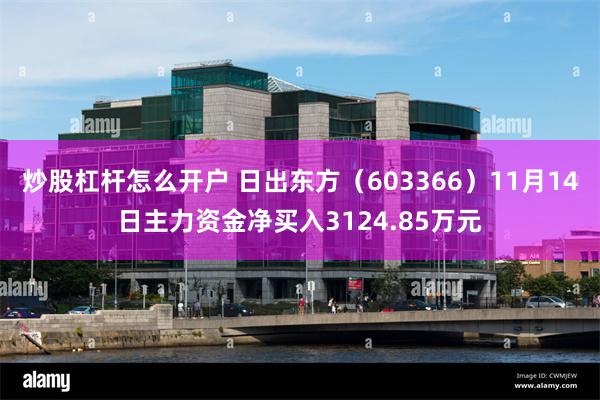 炒股杠杆怎么开户 日出东方（603366）11月14日主力资金净买入3124.85万元