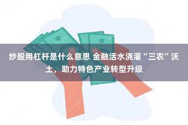 炒股用杠杆是什么意思 金融活水浇灌“三农”沃土，助力特色产业转型升级